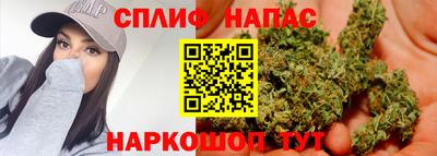 ECSTASY Обь